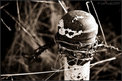 Fence Post