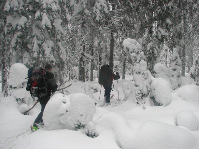 (IMG_4387.jpg)