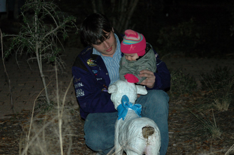 Petting the Lamb