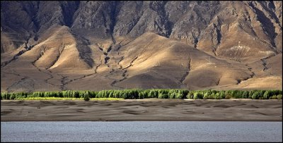 a line of green to halt desertification