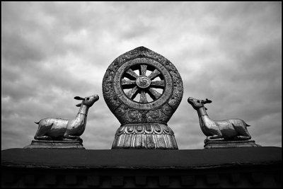 Dharmachakra Parivartan