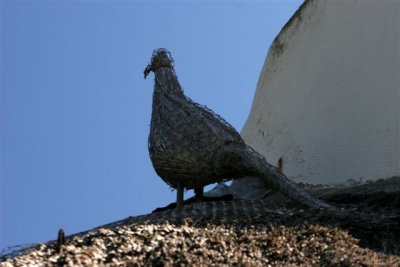 IMG_8624.jpg