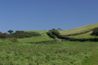 IMG_8630prepro.JPG