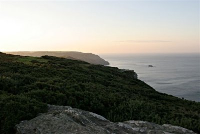 IMG_8887.jpg