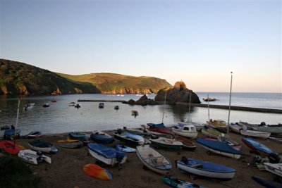 IMG_8900.jpg