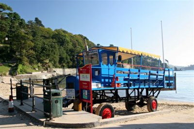 IMG_8971.jpg