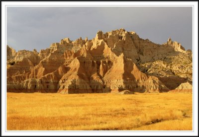 Late Afternoon Light