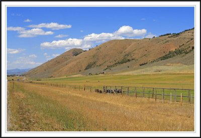 Idaho