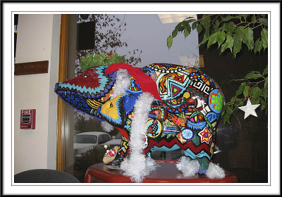 Javelinas on the go, go, go...