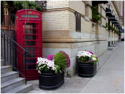 telephone.jpg