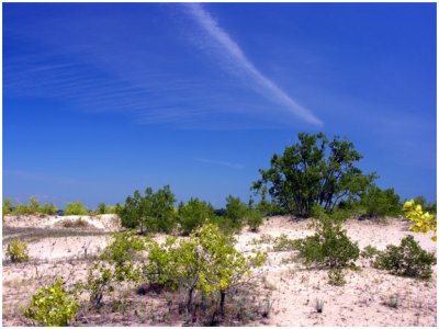 Prince Edward County