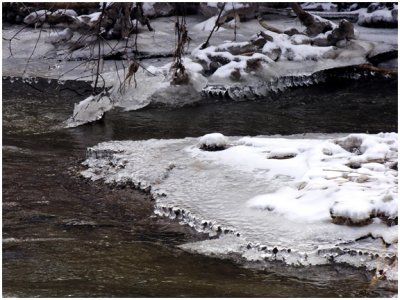 kortright5.jpg