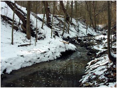 mudCreek1.jpg