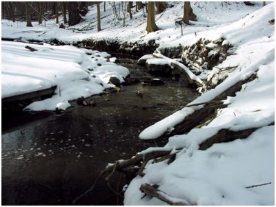 mudCreek2.jpg