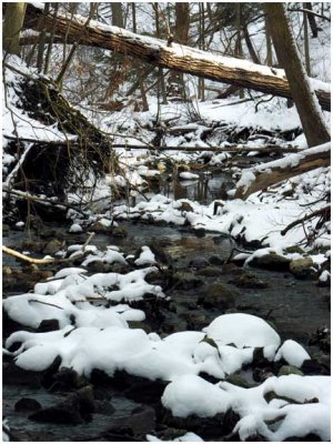 mudCreek3.jpg