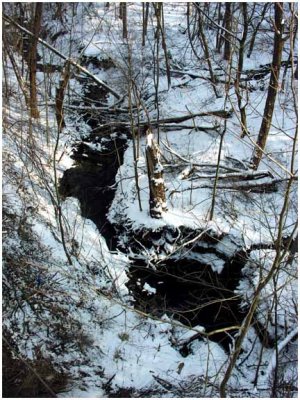 mudCreek4.jpg