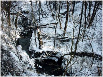 mudCreek5.jpg
