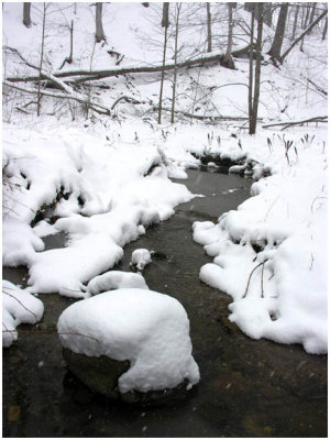 bluffsCreek3.jpg