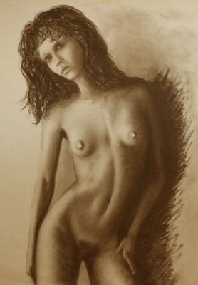 Drawings in Charcoal