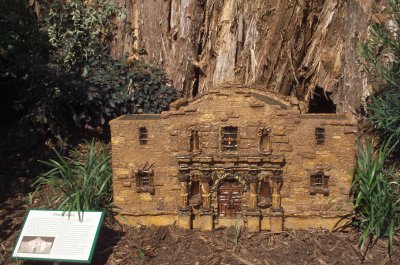 Alamo in the outdoor Railroad