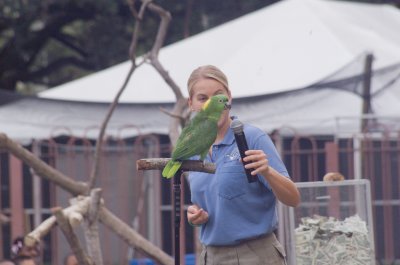 Birds of the World
