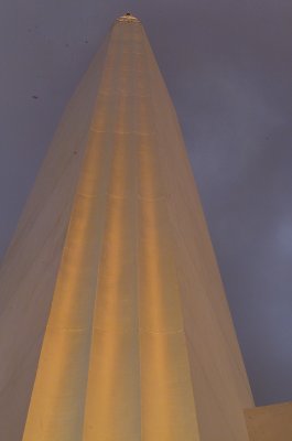 Tower Building