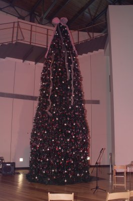 Tree in the Womens Museum