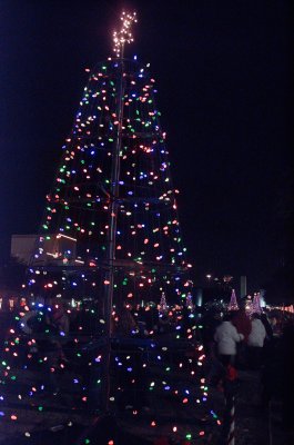 Christmas Tree Lights Along the Esplanade at Fair Park