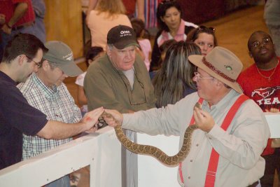 Letting people touch the rattle end of a Rattlesnake while carefully holding the head