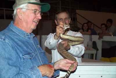 Old and Young Getting Portraits Made with Live Rattlesnakes