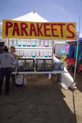 Parakeets