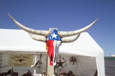 Longhorn Skulls