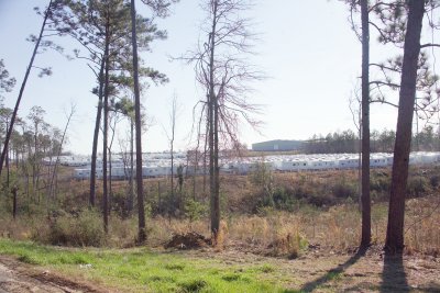 GP3Q9756.jpg