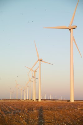 Electric Generating Wind Farms south of Sweetwater to Abilene,Texas
