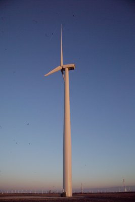 GP3R1029.jpg