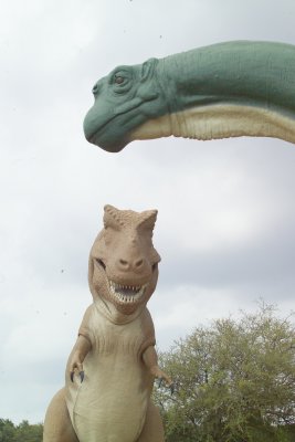 Dinosaur Tracks in Glen Rose Texas