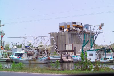g6/15/544215/3/80466239.5TdHWbbX.jpg