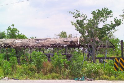 Debri Washed onto the roof of what was a cannery/fish processing plant