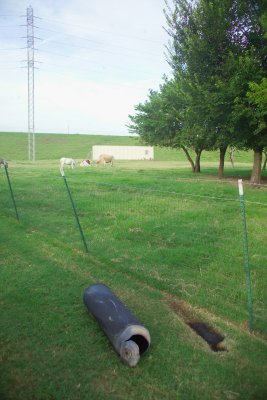 Trinity River Levee in the Background