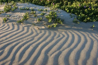 Sand waves.jpg