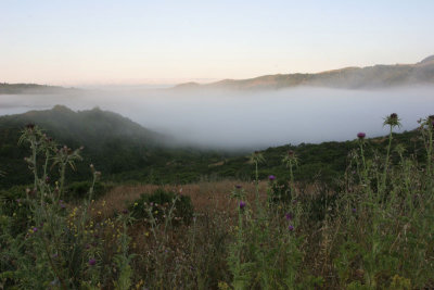 valley fog.jpg