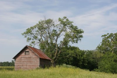 barn.jpg