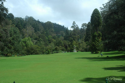 scenes from Ooty