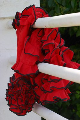 Ladies wakeboard dress...