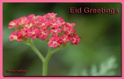 Eid Greetings 2007