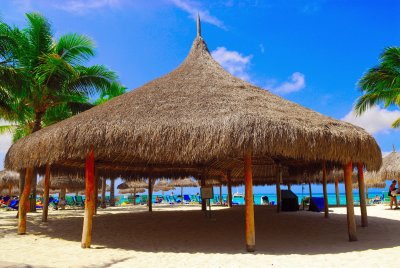 palm_beach
