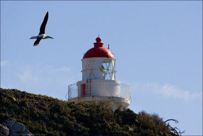 Taiaroa Head Lighthouse