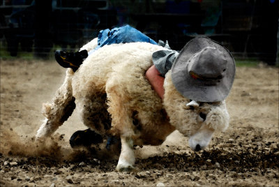 Sleep on a Woolrest