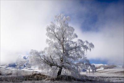 MacKenzie Country Hoar Frost