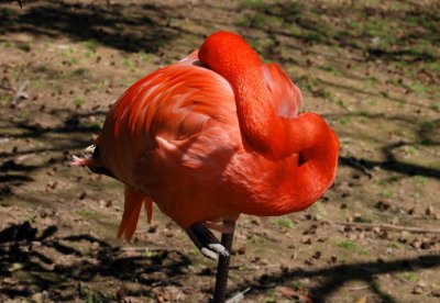 DSC_0470.jpg